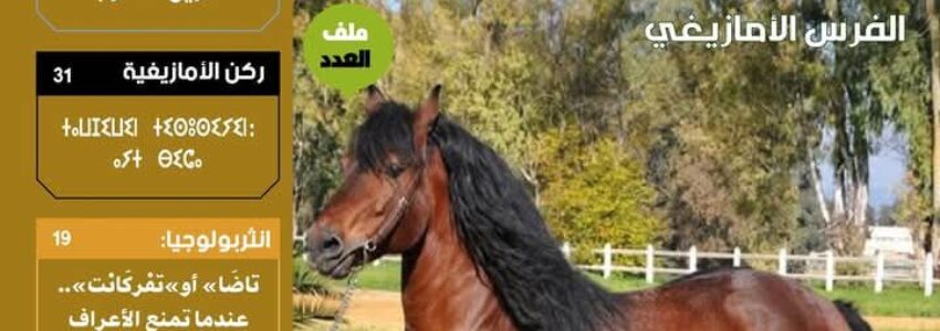 الفرس الأمازيغي محور العدد الجديد من مجلة “زيك ماغزين”